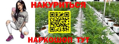 эйфоретик Славянск-на-Кубани