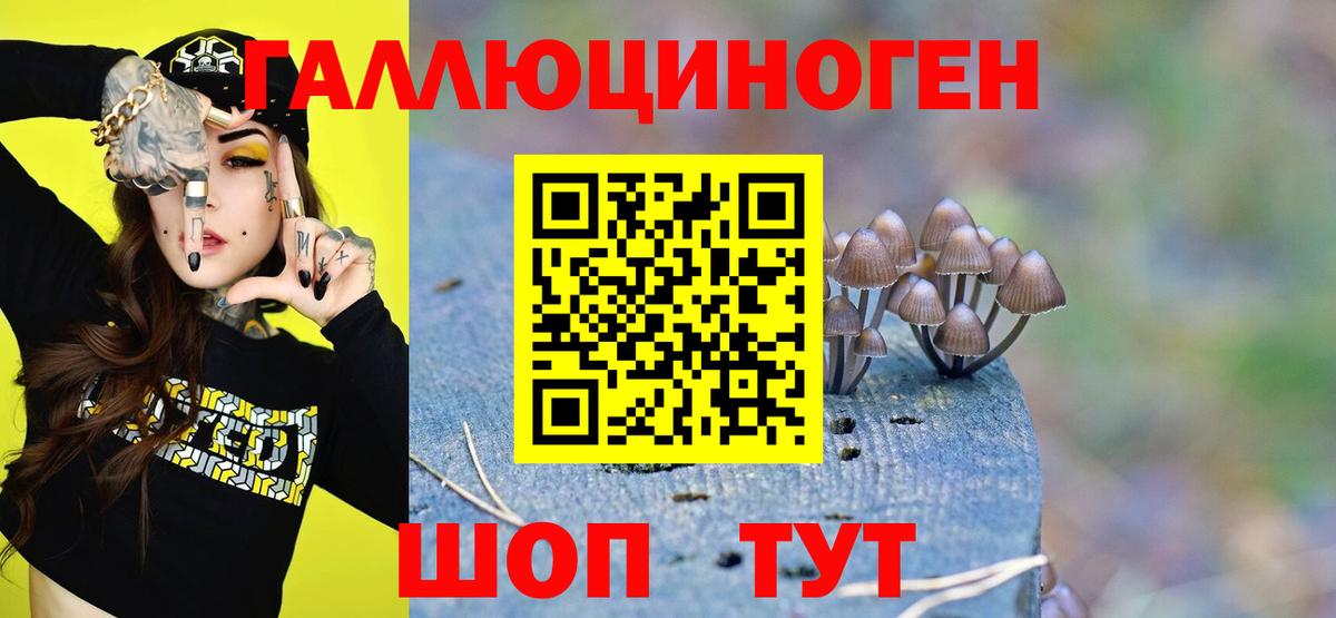 Псилоцибиновые грибы Cubensis  Вход с VPN  Прокопьевск 