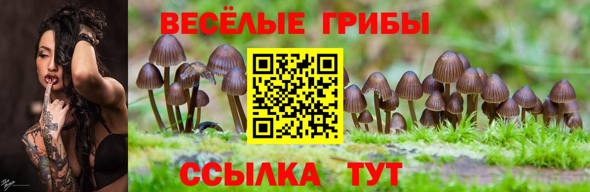 Галлюциногенные грибы мицелий Прокопьевск